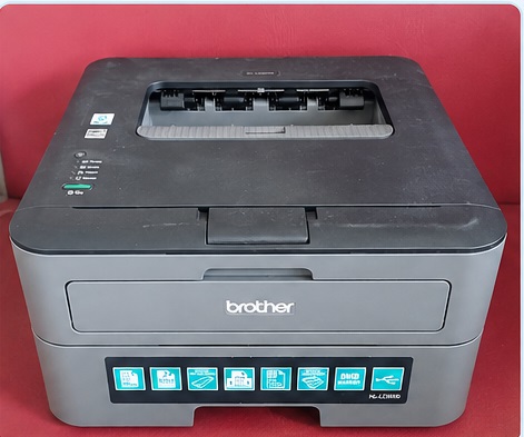 Brother HL-L2300D